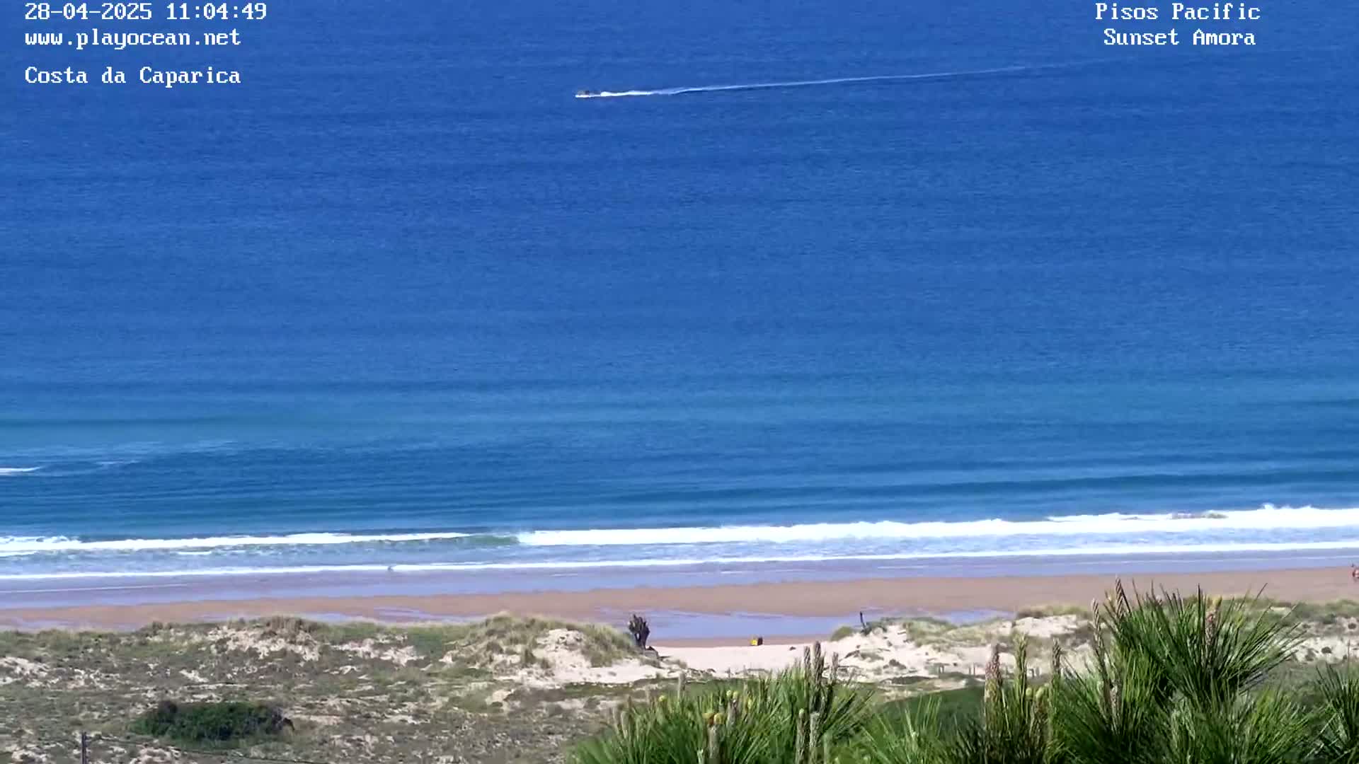 A beach with sandy dunes and a calm ocean under a clear sky is viewed from a high vantage point.