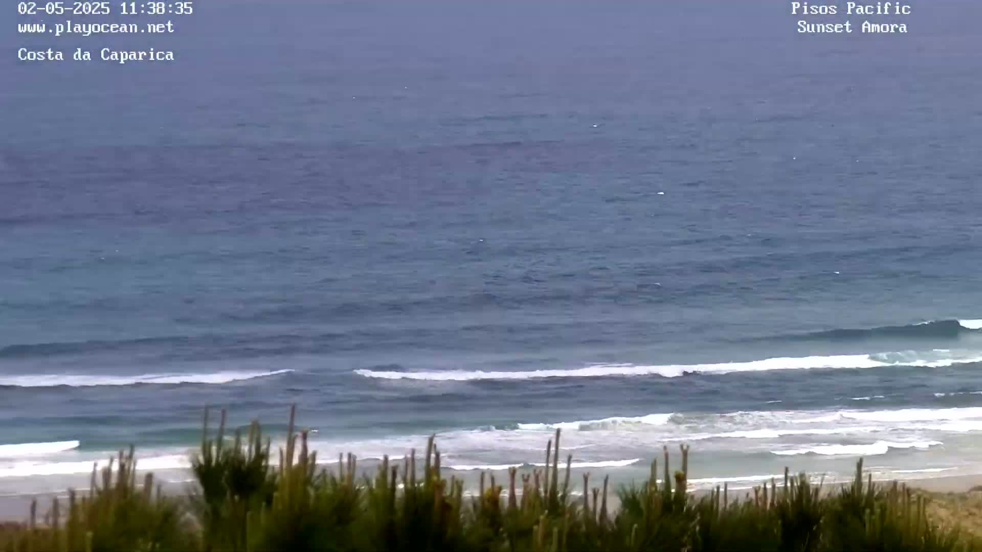 An ocean scene shows a beach with gentle waves rolling onto the shore, viewed from a slightly elevated position behind low-lying vegetation under an overcast sky.