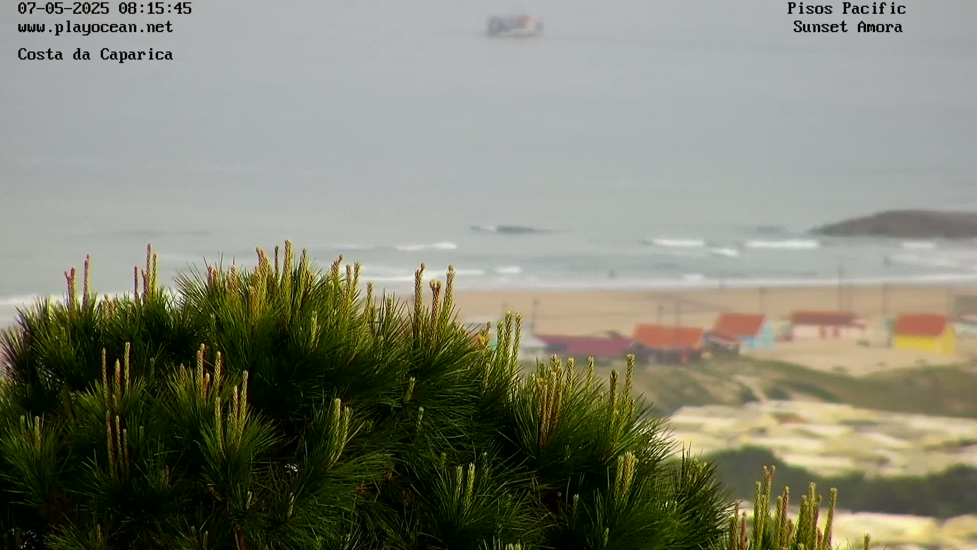 A view from behind a cluster of pine branches shows an overcast beach with small buildings and a calm ocean in the distance.