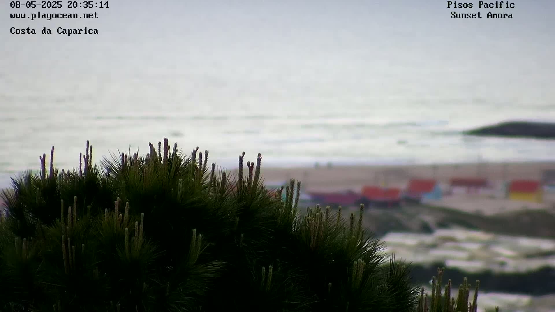 A view of a beach with small, colorful buildings in the distance, partially obscured by a dark green pine tree in the foreground, under an overcast sky.
