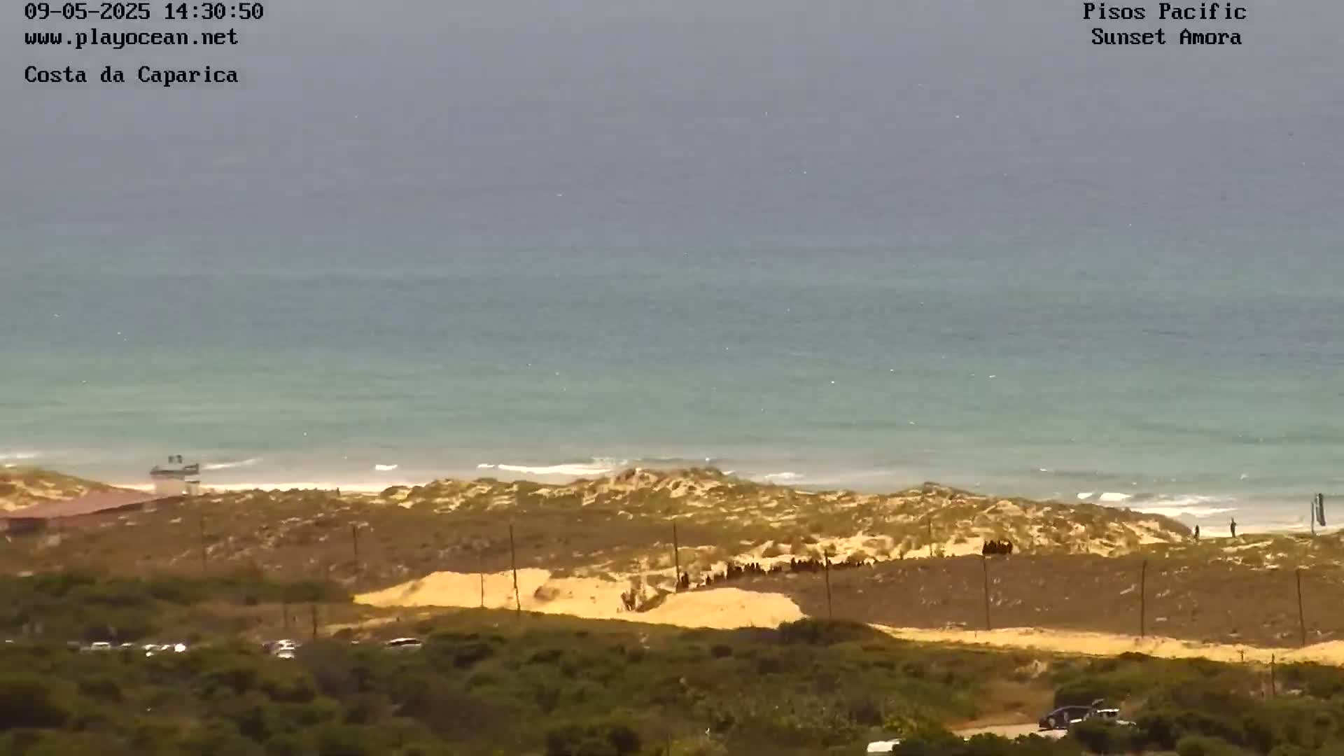 A long expanse of calm, light-blue ocean meets a sandy beach backed by scrubby dunes and vegetation, under an overcast sky.