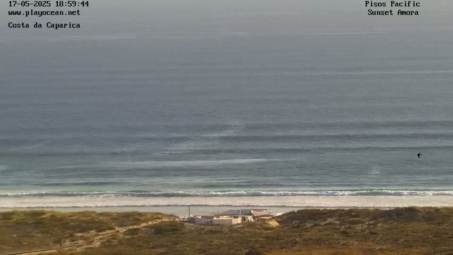 A high-angle view shows a calm ocean with small waves lapping a sandy beach, a small building near the shore, and dry, tan-colored land extending to the bottom of the frame.