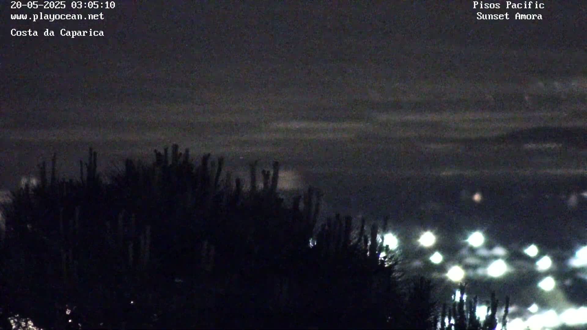 A nighttime, slightly cloudy view shows silhouetted shrubbery in the foreground with distant city lights visible below a dark sky.