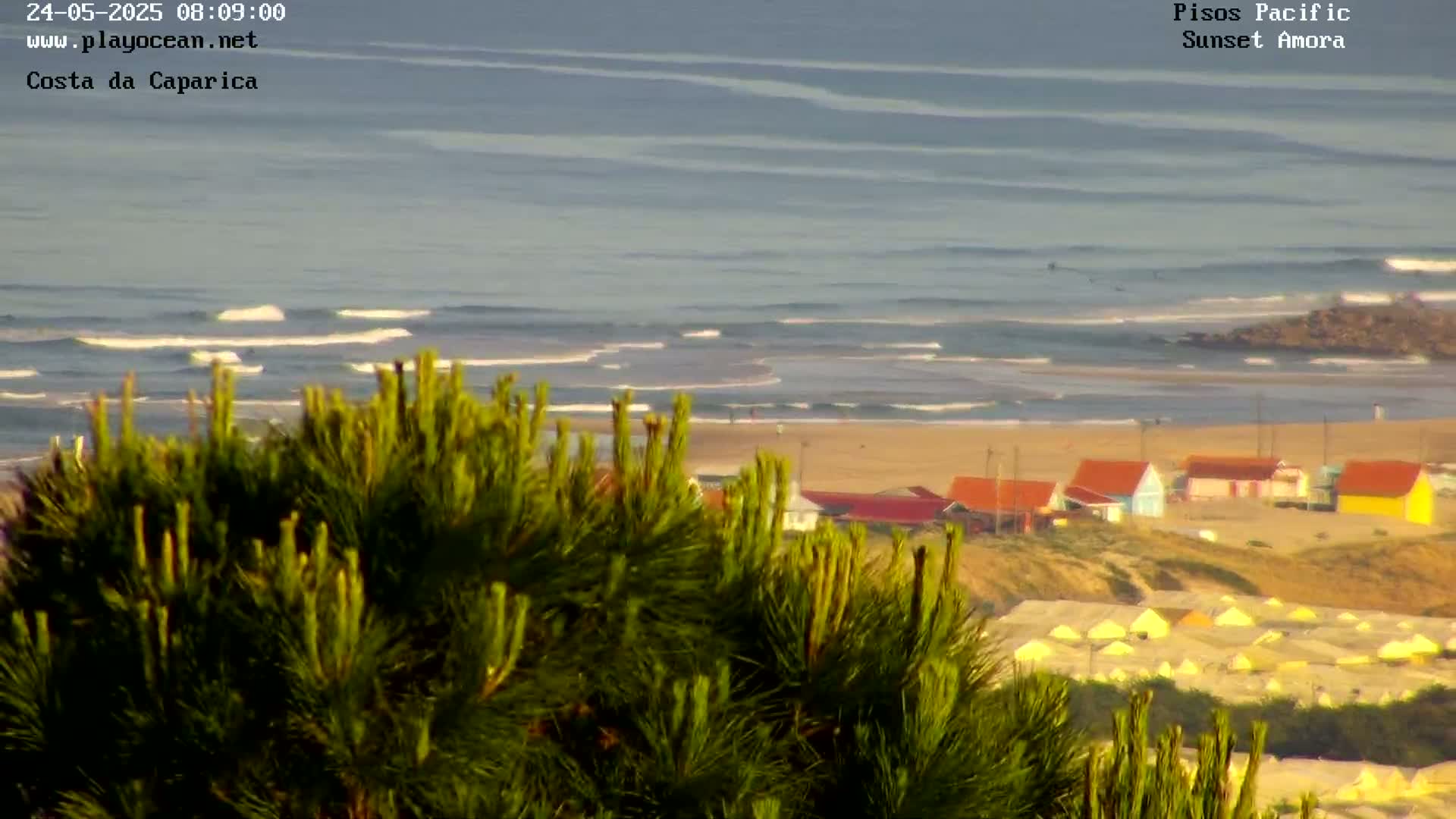 A view from behind a pine tree shows a beach with small houses and tents, and a calm ocean with small waves.