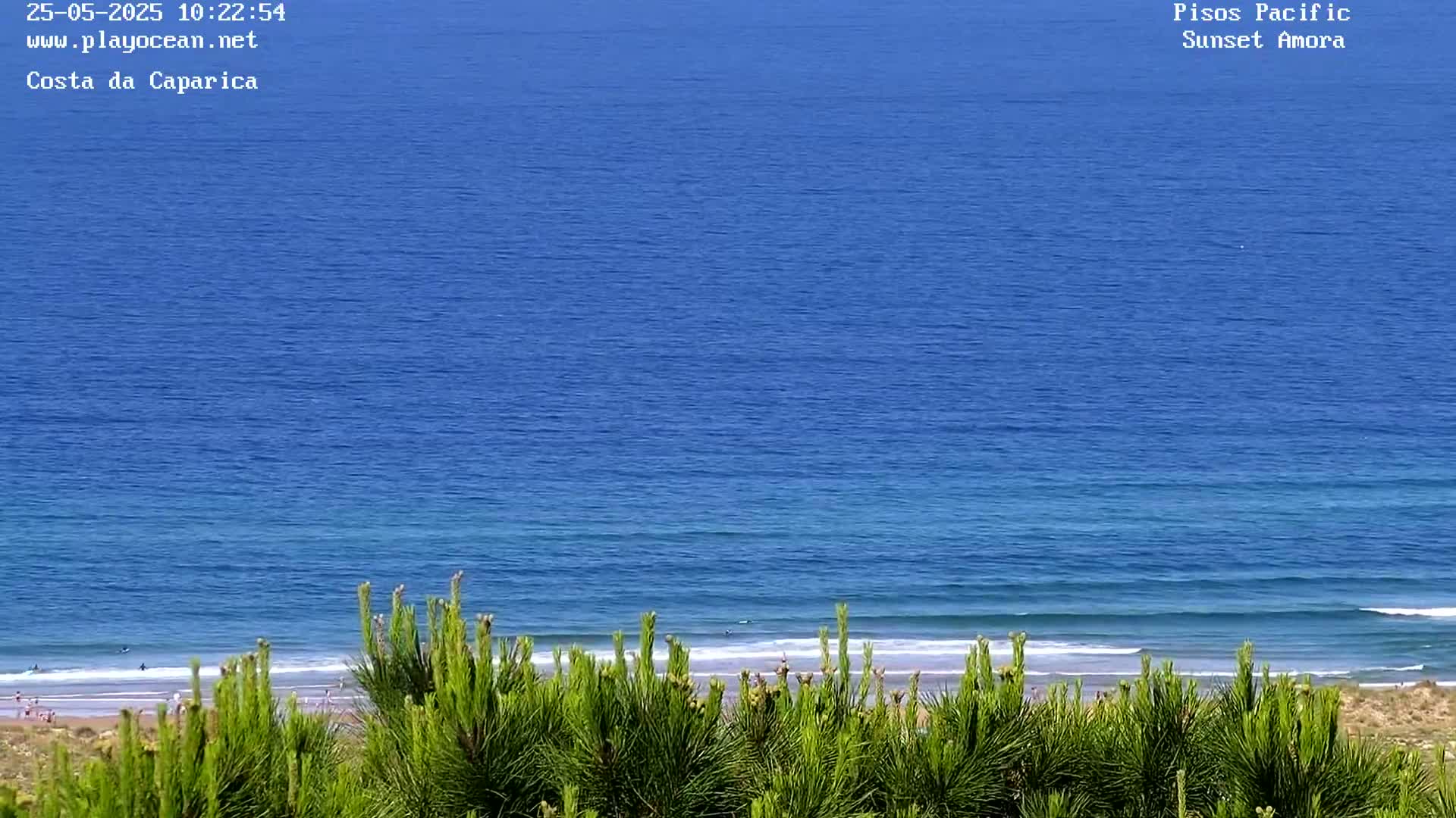 A blue ocean with small waves laps a sandy beach partially obscured by green vegetation under a clear sky.
