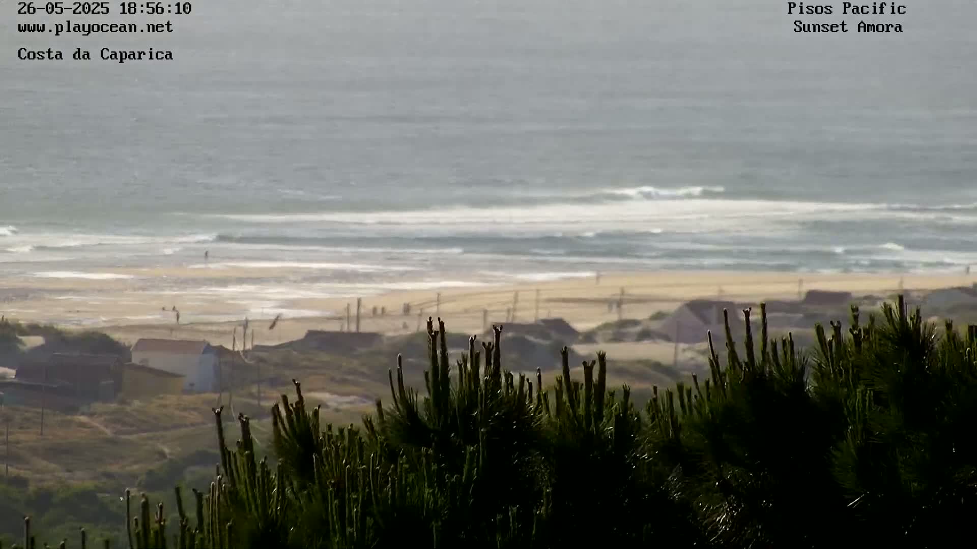 A view from a hilltop shows a sandy beach with gentle waves under an overcast sky,  partially obscured by a foreground of dark green shrubbery.