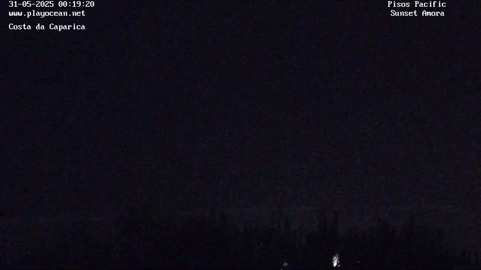 A dark nighttime scene shows a silhouetted line of trees or vegetation against a black sky.