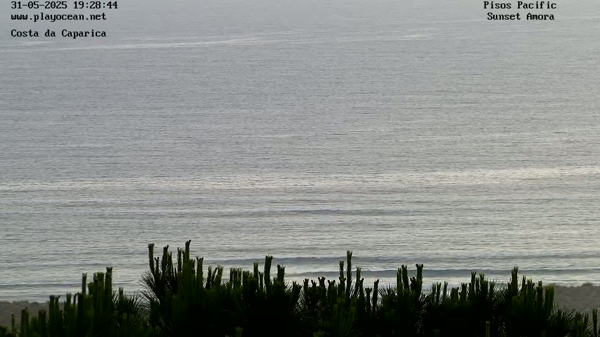 A calm ocean with small waves is seen from a slightly elevated vantage point, with dark green vegetation in the foreground.