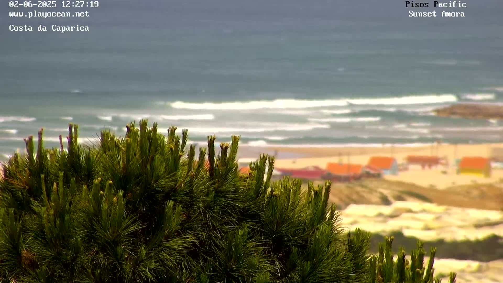 A dense cluster of pine branches partially obscures a view of a beach with small buildings and a somewhat choppy ocean under a cloudy sky.