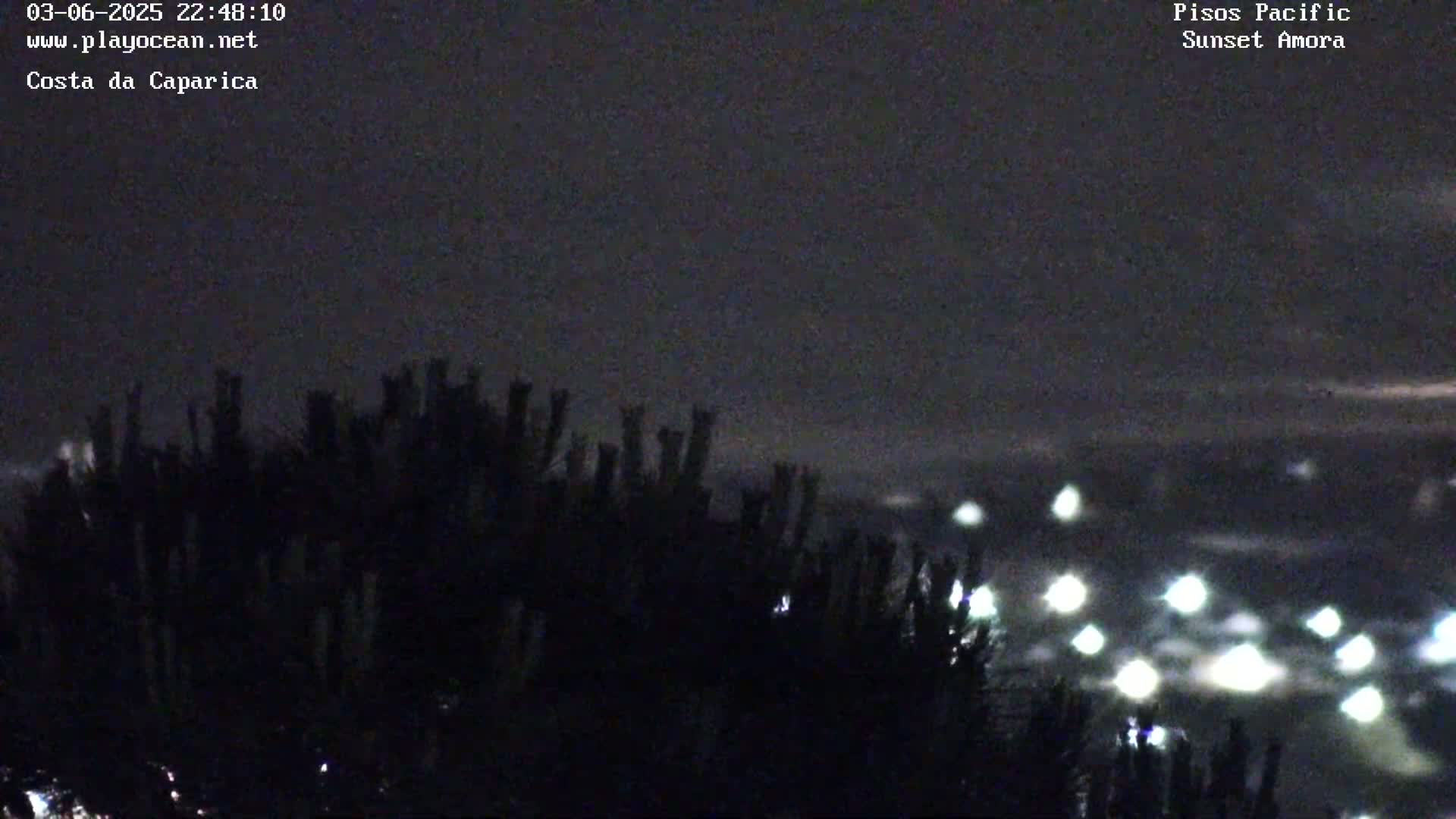 At night, a dark silhouette of vegetation obscures a distant view of a city's lights.
