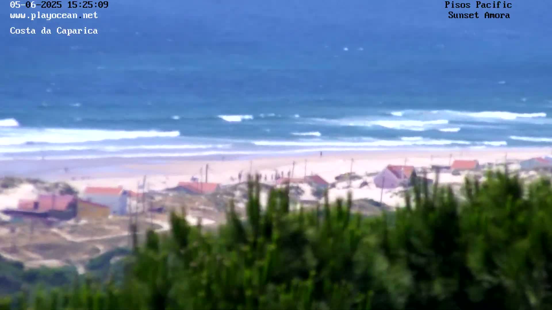 A beach with small houses and a calm ocean is viewed from a hilltop covered in green bushes on a sunny day.
