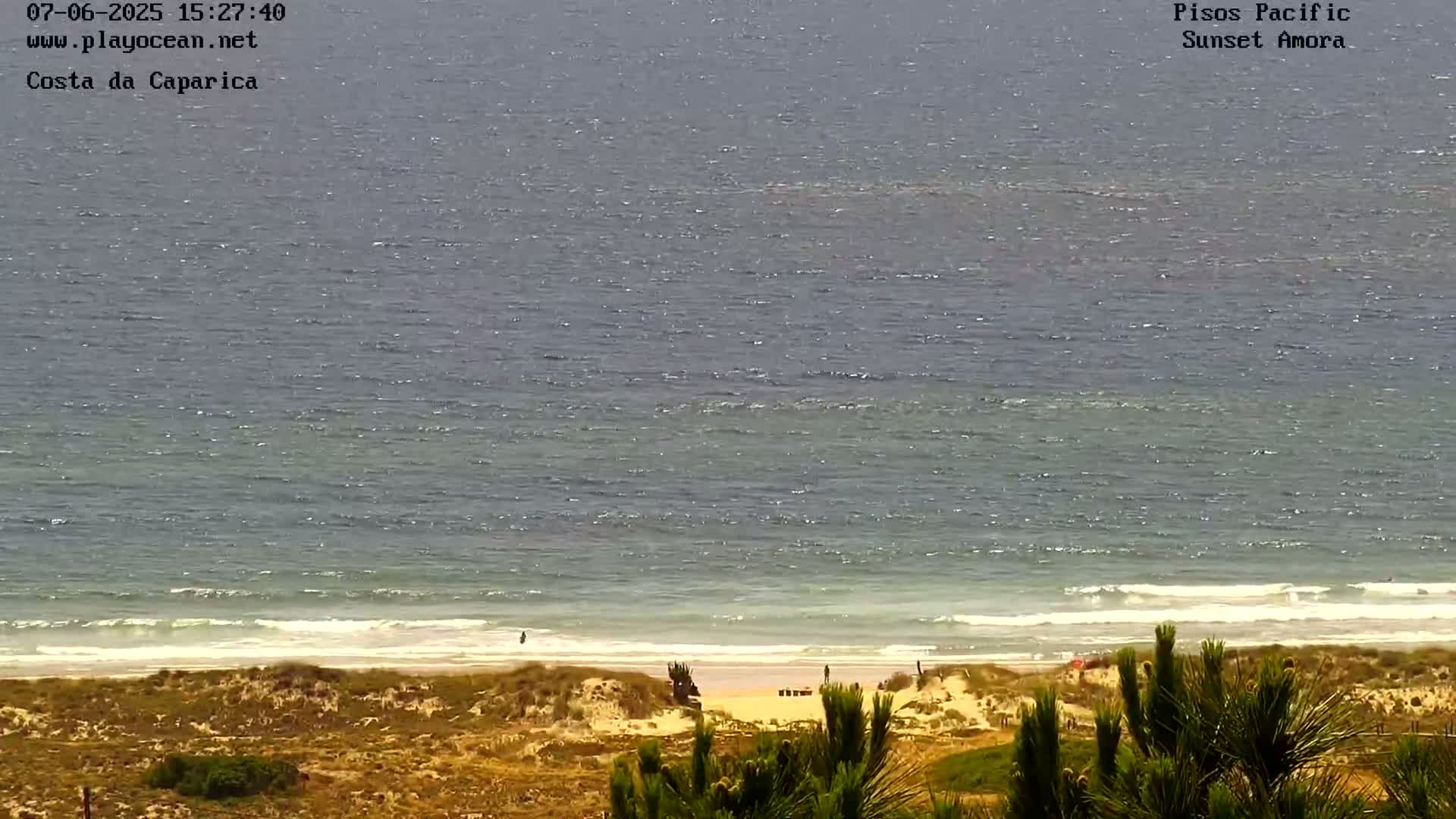 A mostly sunny day shows a wide expanse of ocean meeting a sandy beach backed by scrubby dunes and vegetation.