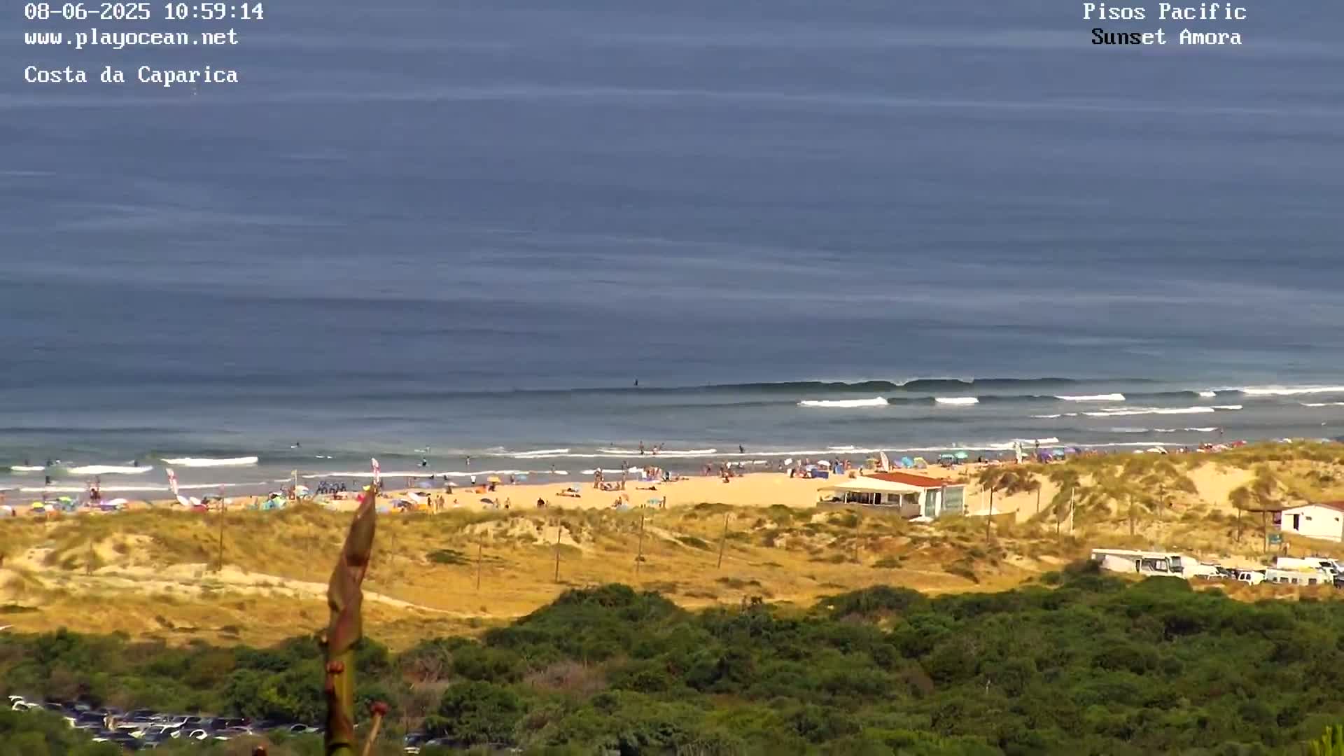 A sunny day at a sandy beach with people swimming and sunbathing, rolling waves in the ocean, and dune vegetation in the foreground.