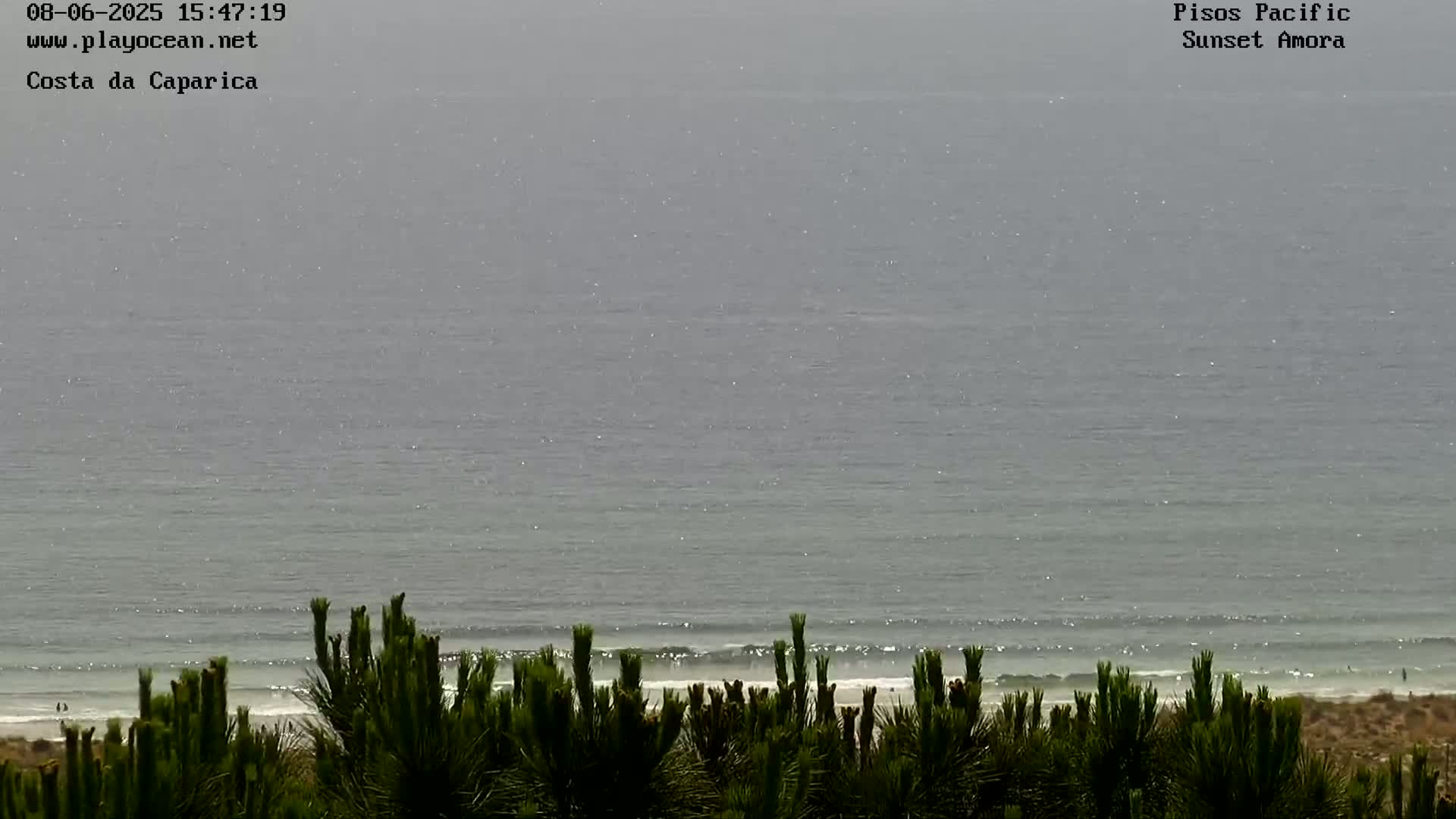 A hazy, overcast day at a beach shows a calm ocean with small waves lapping a sandy shore, partially obscured by dark green vegetation in the foreground.