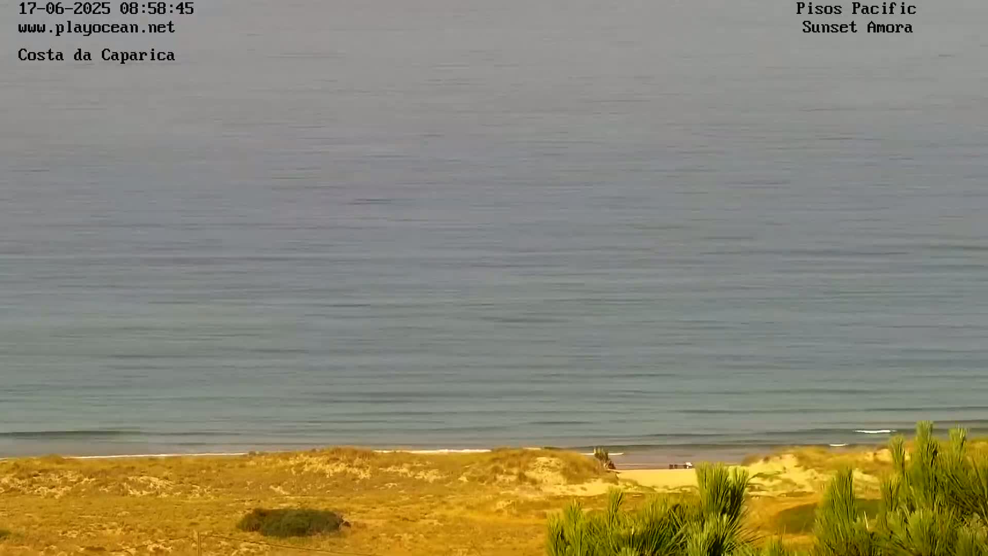 A calm ocean meets a sandy beach with sparse vegetation under a clear sky.