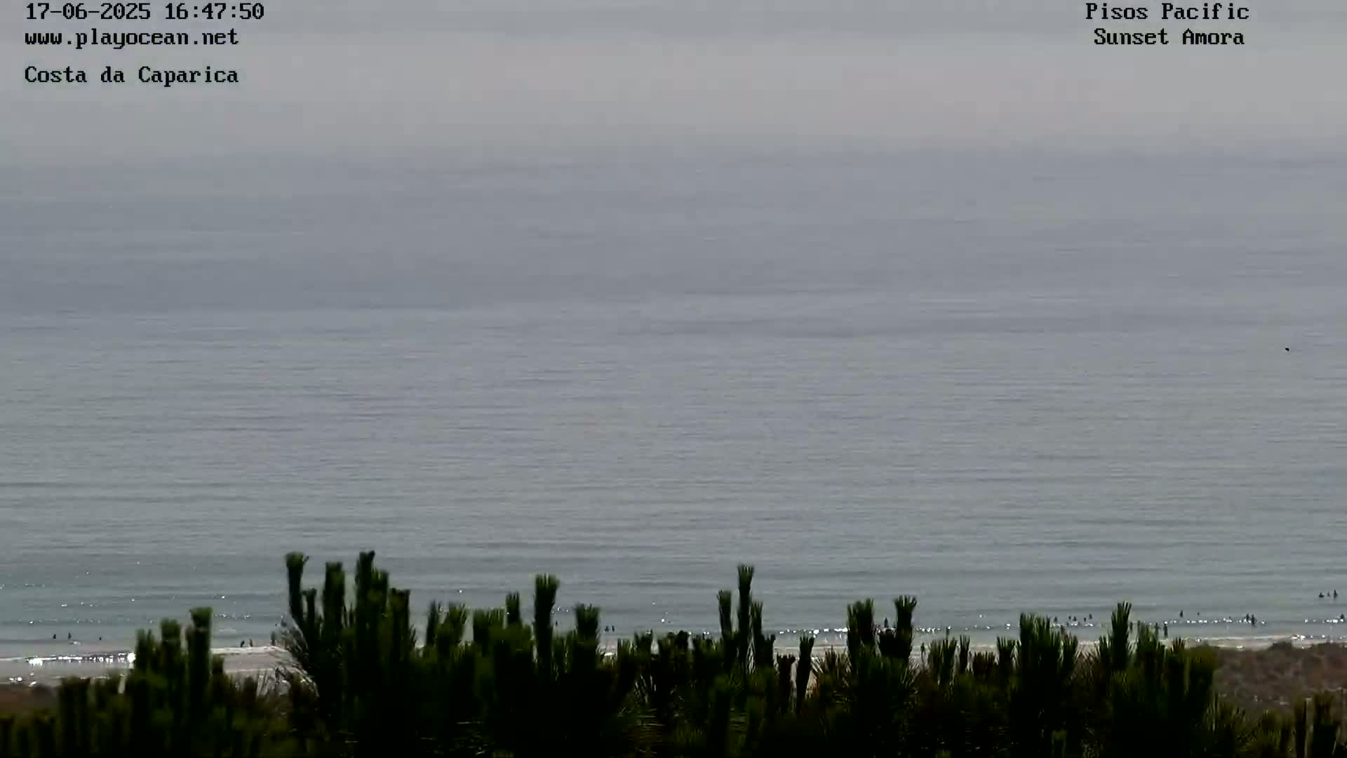 A calm, overcast day shows a wide expanse of ocean meeting a sandy beach lined with dark green shrubs.