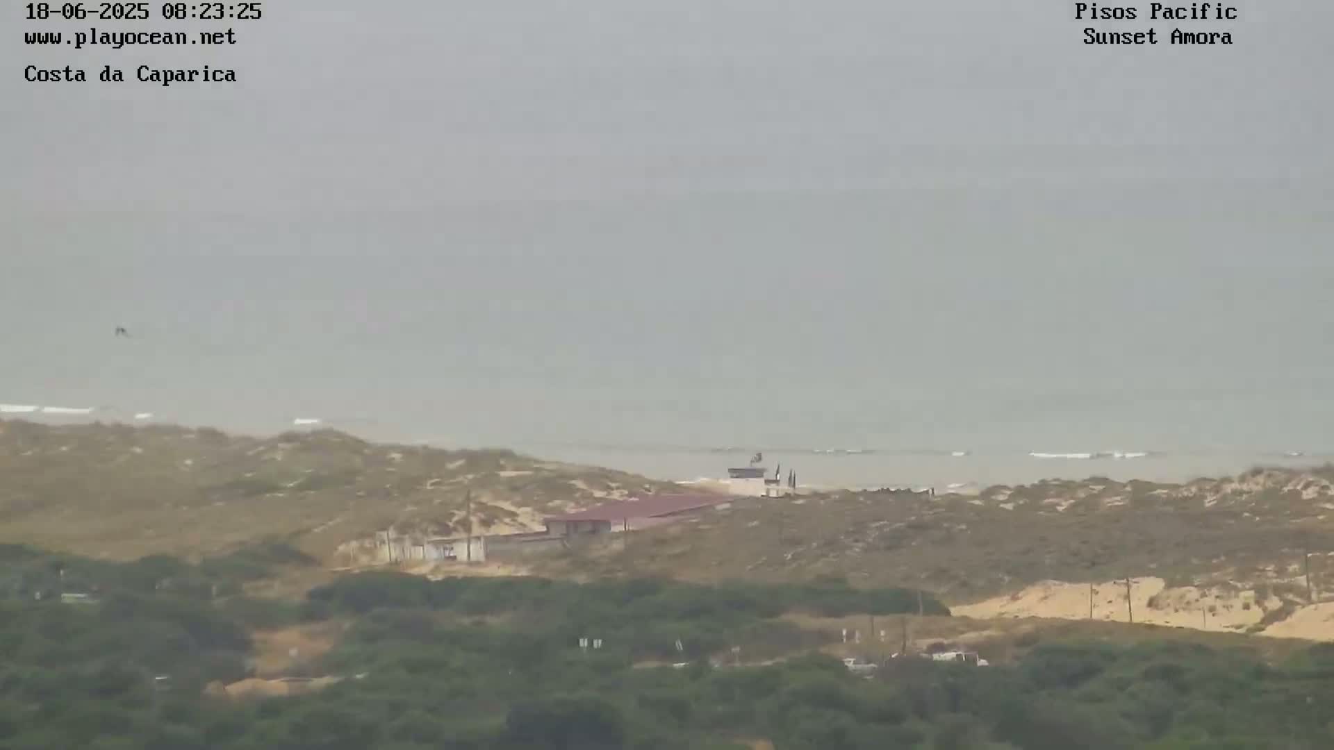 A hazy, overcast day shows a sandy coastline with a building near the ocean and low-lying vegetation in the foreground.