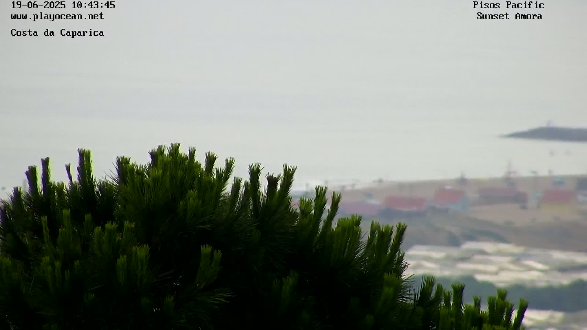 A view of a coastline on an overcast day is partially obscured by a foreground of dark green pine tree branches.