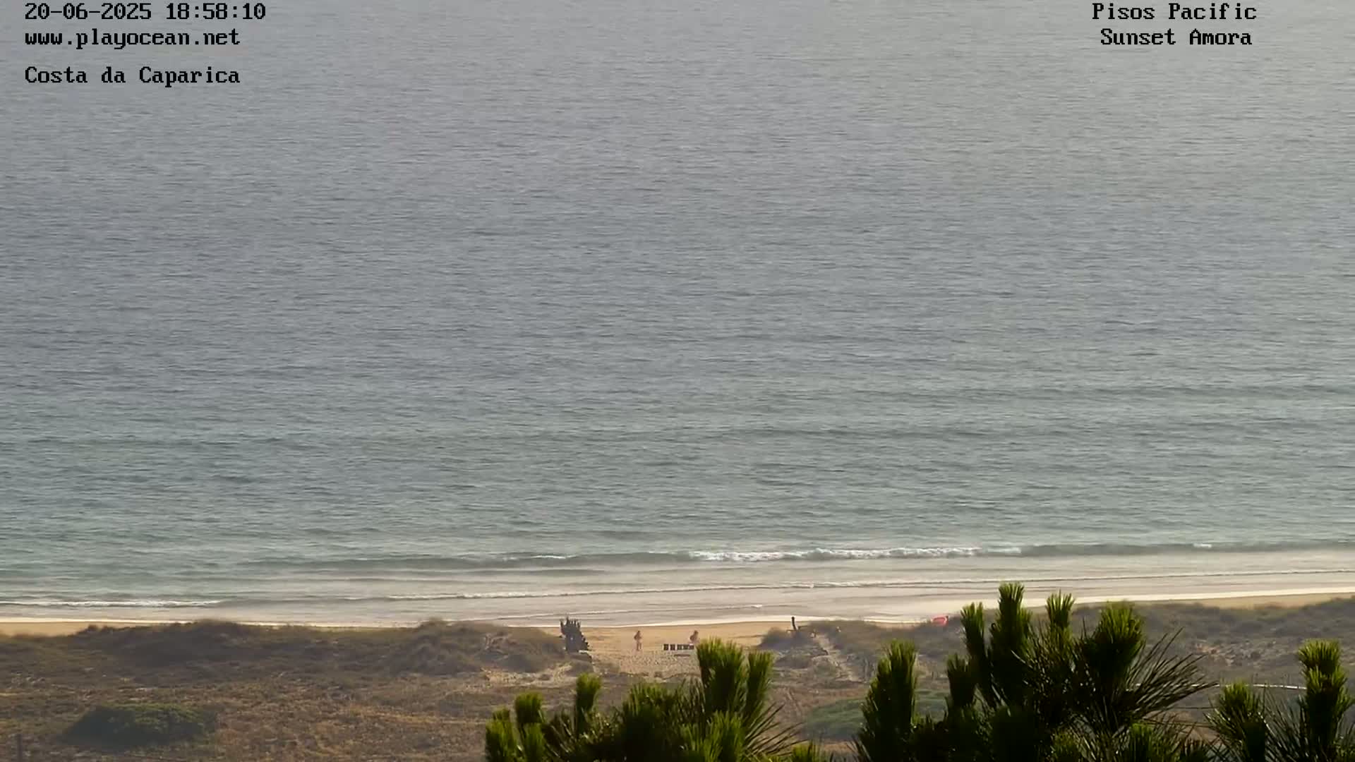 A beach with calm waves and a few people is seen from a slightly elevated vantage point, with vegetation in the foreground.