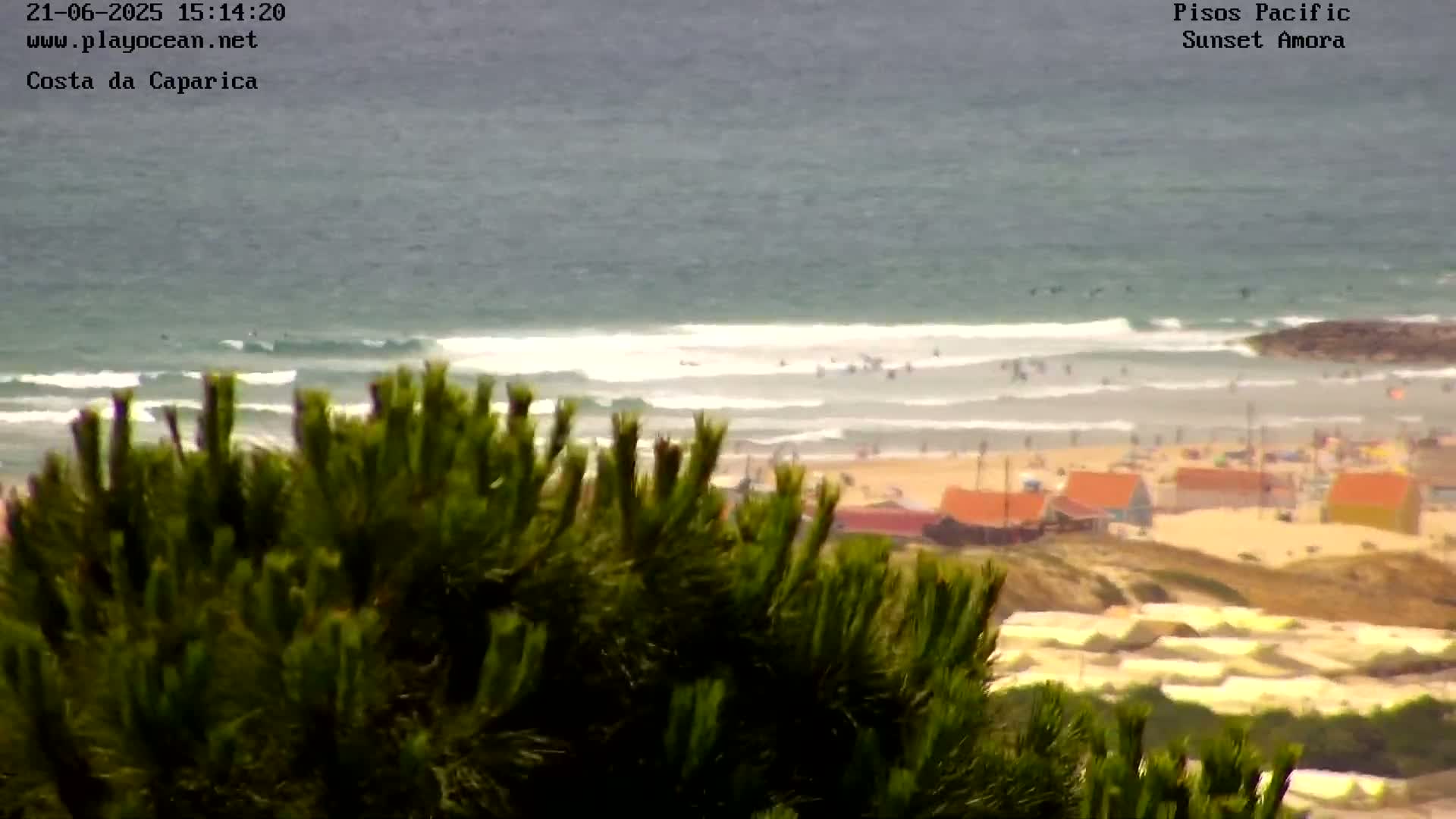 Overlooking a beach with small buildings and many tents, the ocean shows small waves with people surfing in the distance, partially obscured by foreground pine trees under an overcast sky.