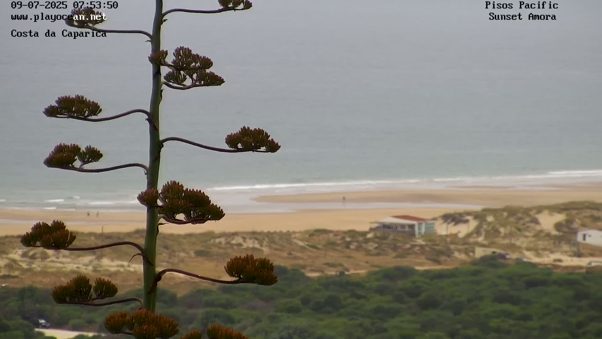 Costa da Caparica Coast Line & Atlantic Ocean Live Cam - Almada, Setubal, Lisbon, Portugal