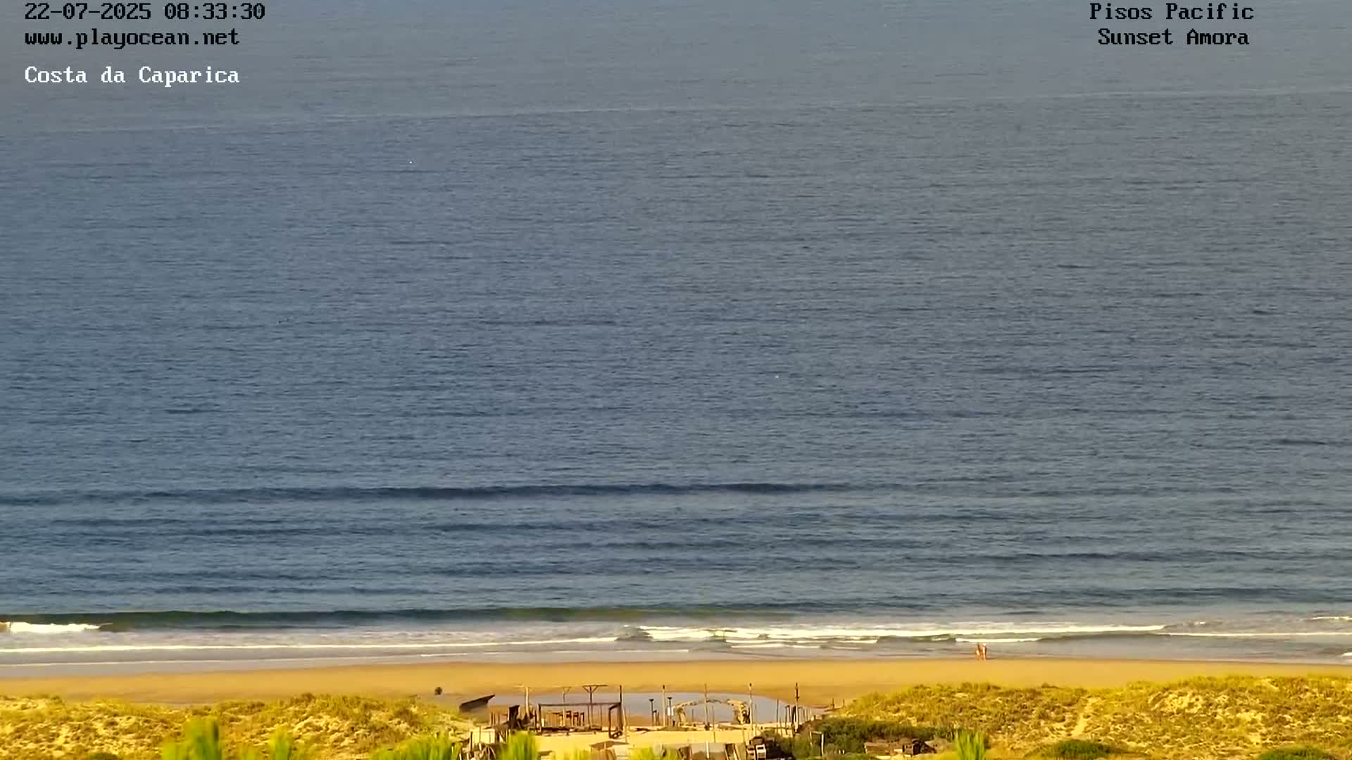A calm ocean with small waves laps a sandy beach, viewed from a dune-covered overlook on a sunny day.