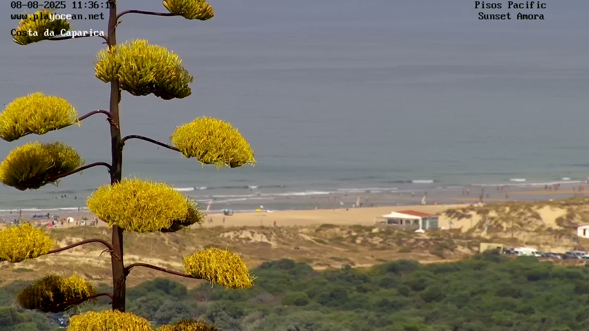 Costa da Caparica Coast Line & Atlantic Ocean Live Cam - Almada, Setubal, Lisbon, Portugal