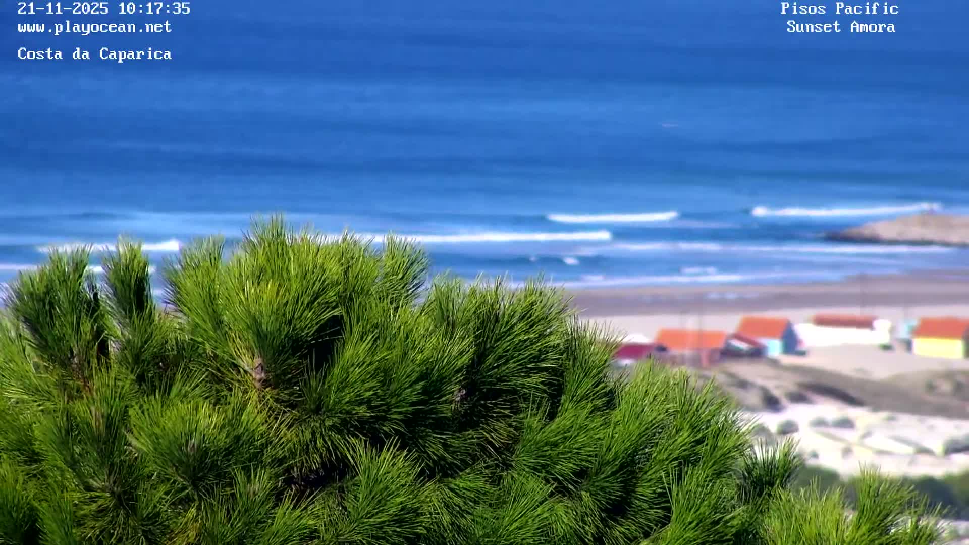 Lush green pine foliage frames a sunny coastal scene featuring a sandy beach dotted with colorful small houses, rolling blue ocean waves, and a clear blue sky.