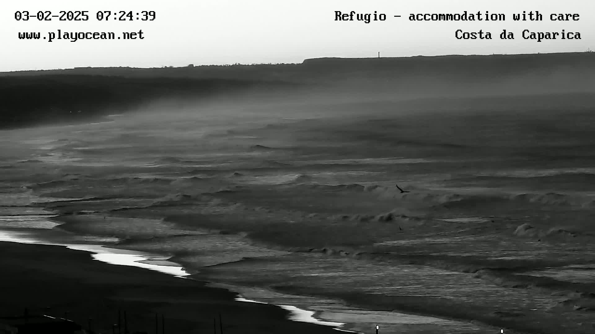 A foggy, overcast day shows a dark, sandy beach with waves rolling in toward the shore from a gray ocean beneath a dark cliff.
