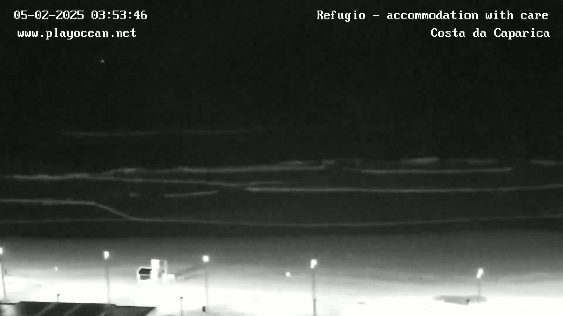A nighttime, low-light view of a dark beach with gently lapping waves under a clear sky.