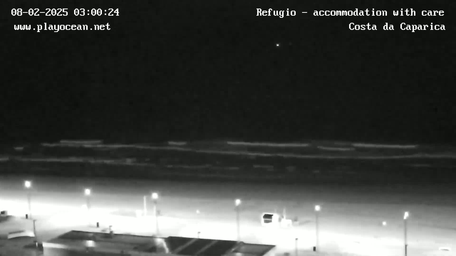 A nighttime, high-angle view shows a dark beach with gently lapping waves under a clear, dark sky, illuminated by several streetlights along a paved area.