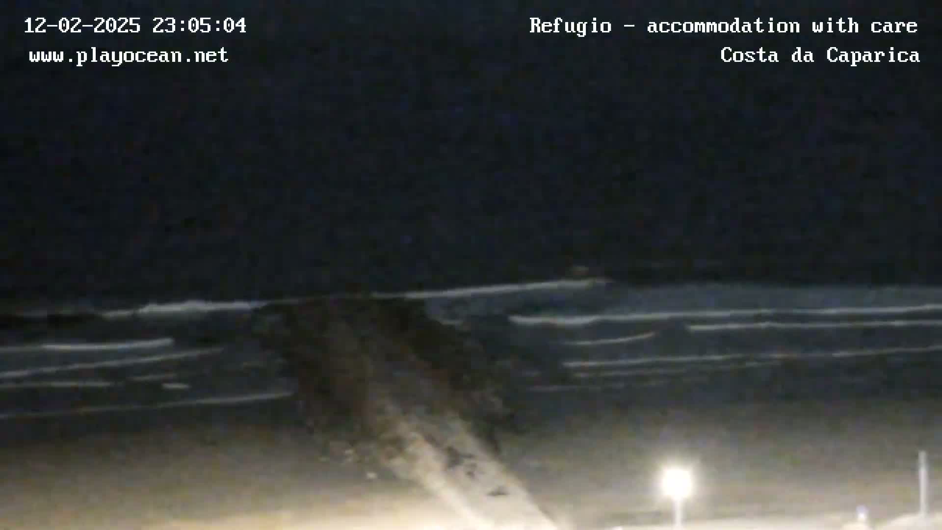 A nighttime view of a dark ocean with small waves rolling onto a shore, illuminated by a single light source on the right.