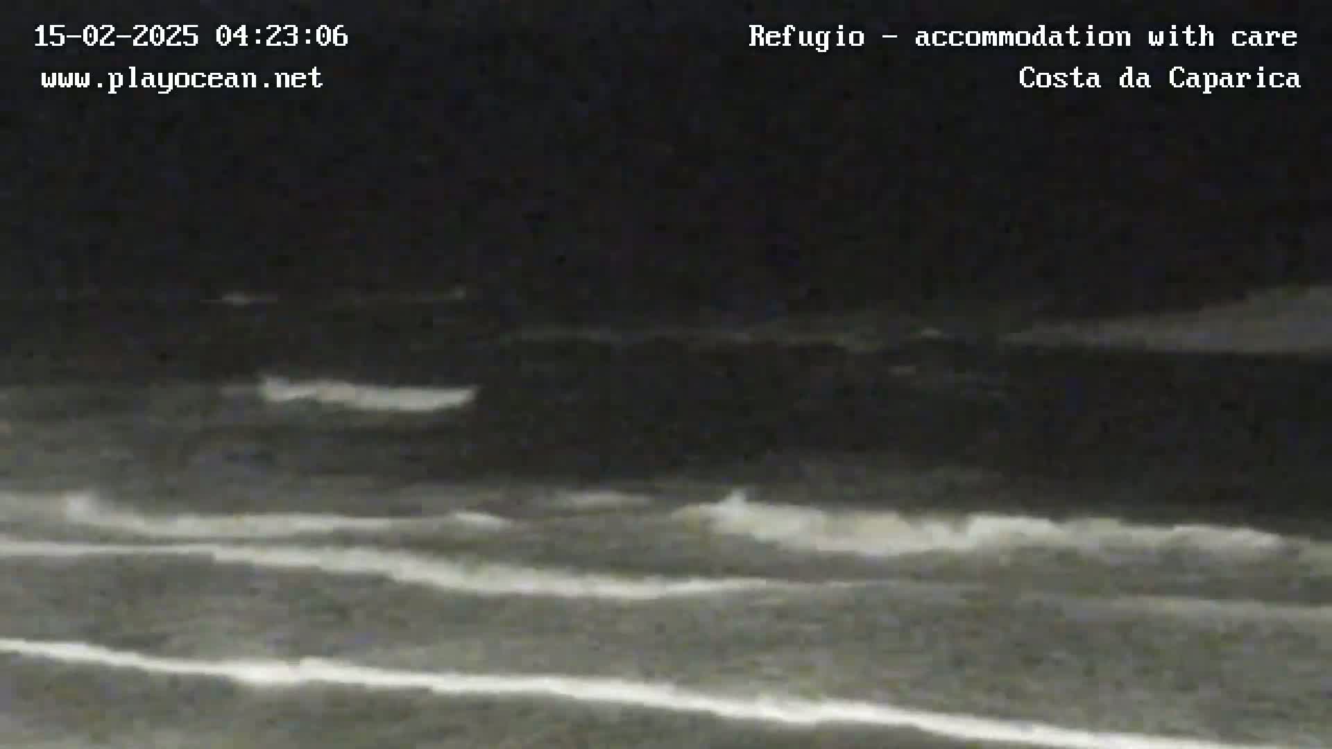 Under a dark night sky, moderate waves roll onto a shoreline.