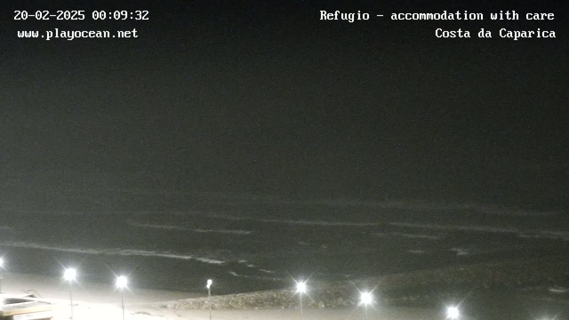 A nighttime view of a dark ocean with small waves lapping a beach illuminated by several streetlights.