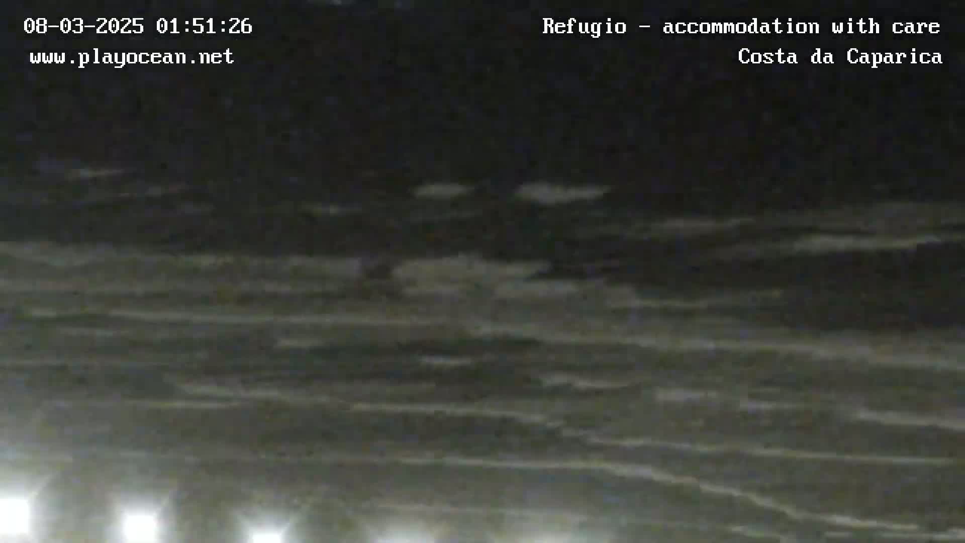 A dark, nighttime ocean scene shows gently rolling waves under a clear sky.
