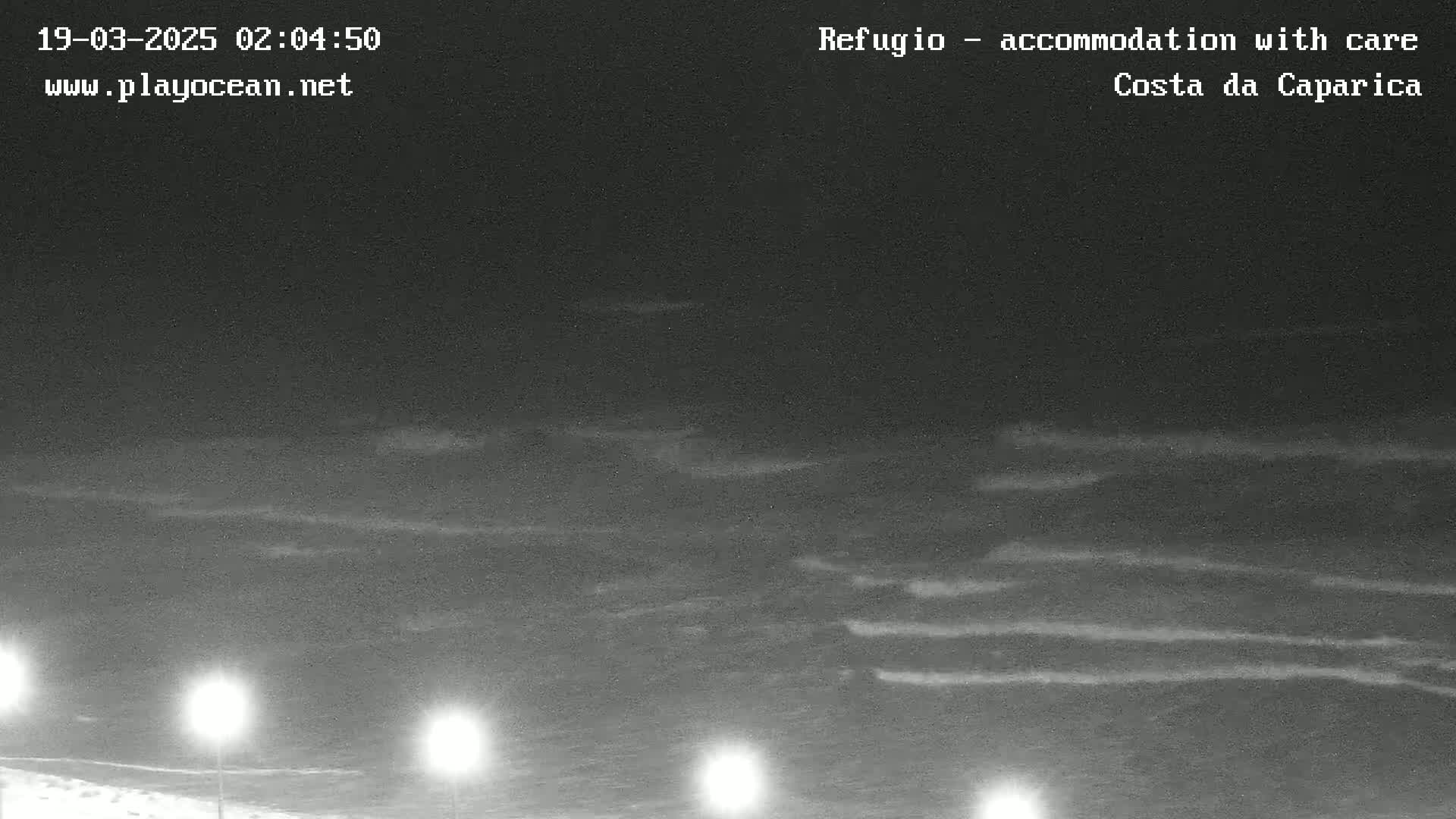 A nighttime, low-light view of gently rolling ocean waves under a dark sky.