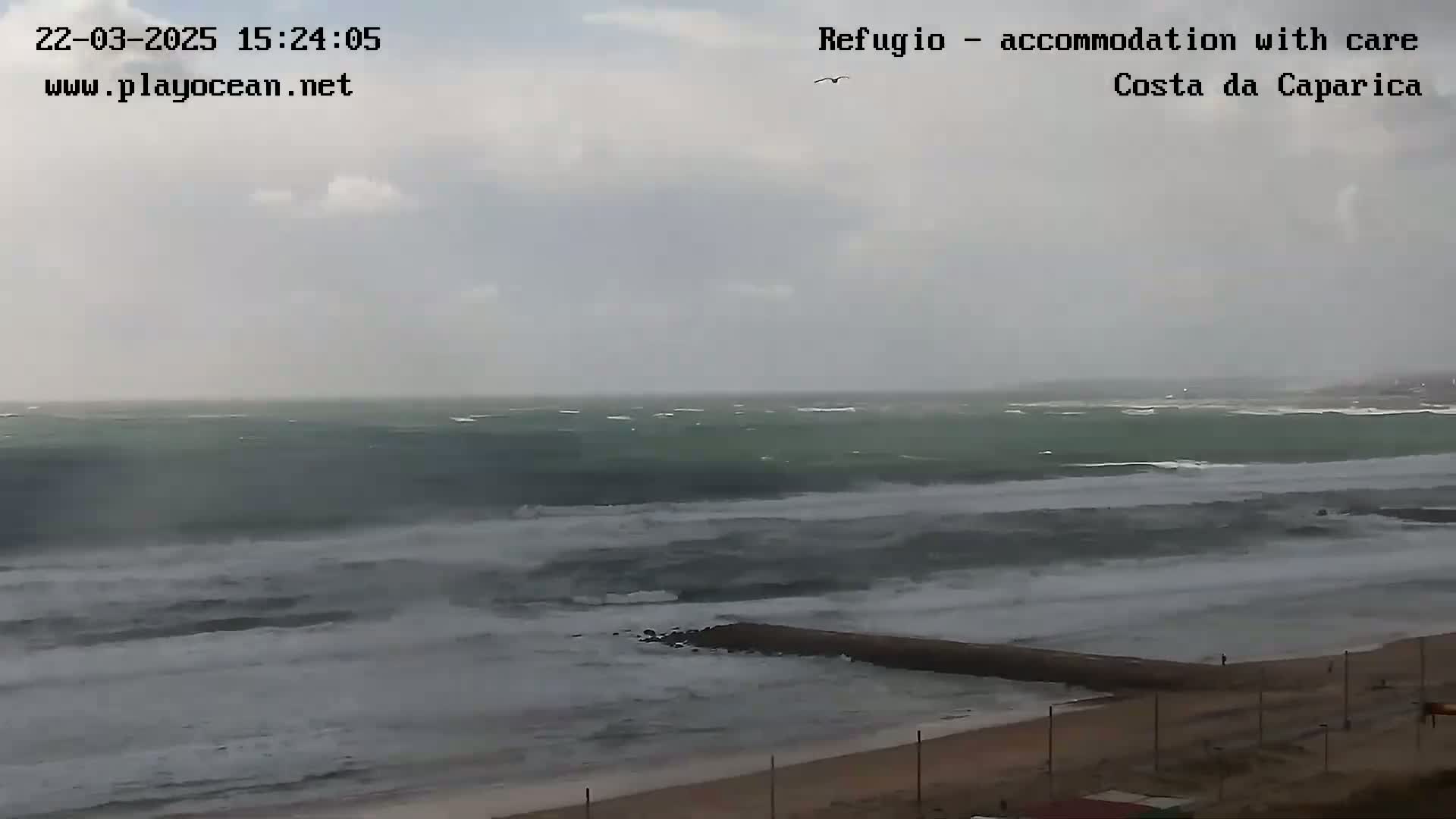 A beach with a low breakwater shows large waves crashing under an overcast sky.