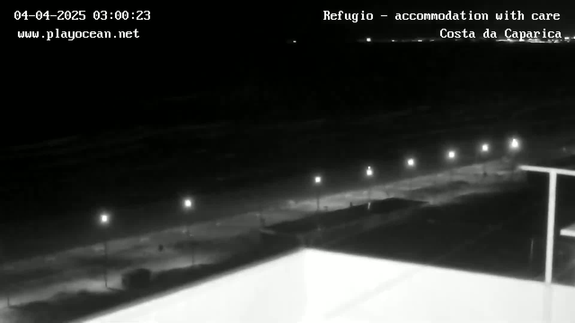 A nighttime view of a dark beach with a row of lights along the shoreline.