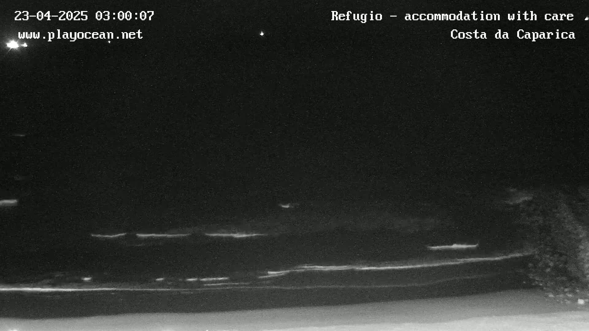 A dark nighttime beach scene shows a mostly calm ocean with faint waves lapping the shore under a clear, starlit sky.