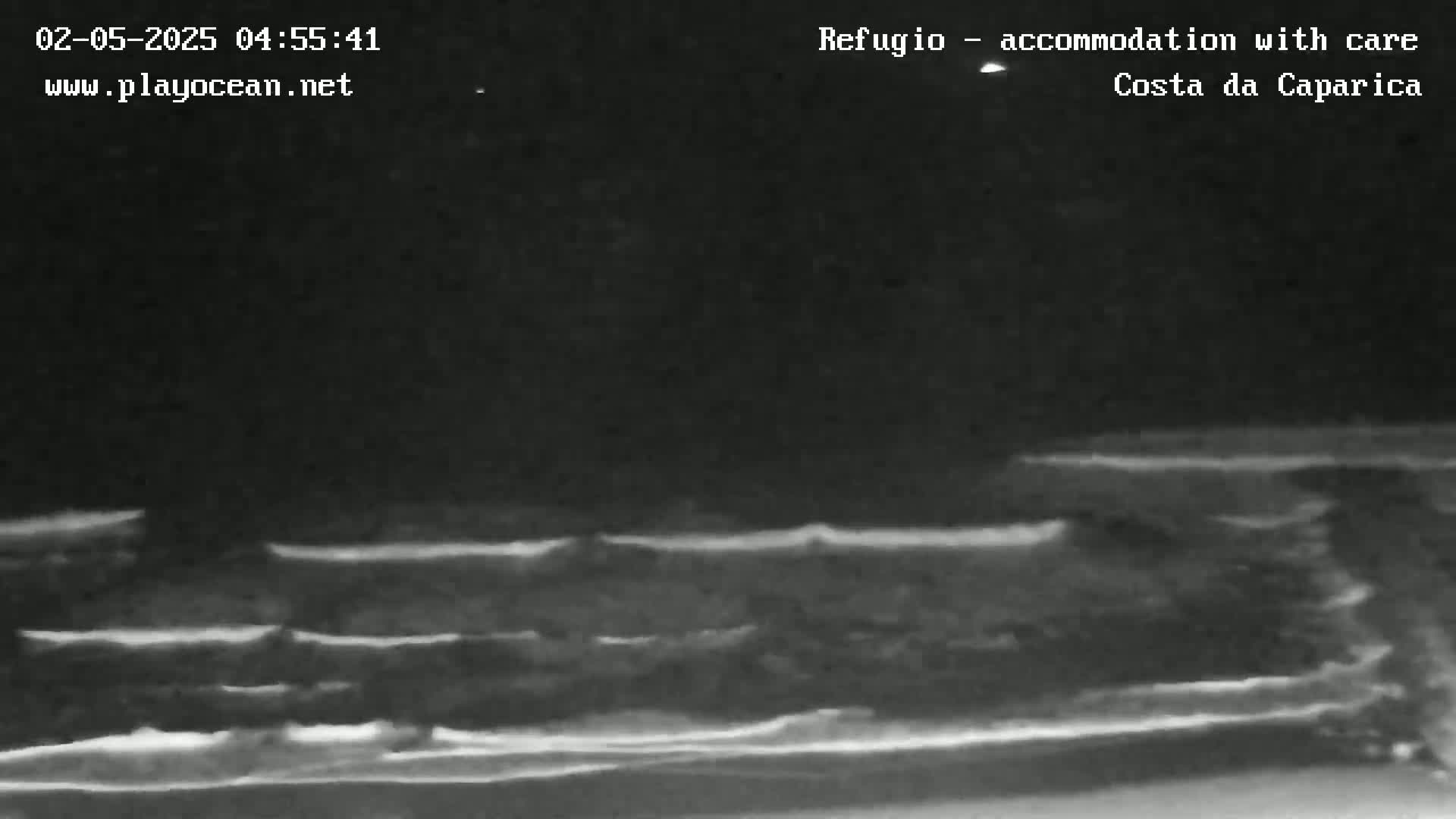 A nighttime, low-light image shows dark ocean waves breaking gently on a shore under a clear, dark sky.