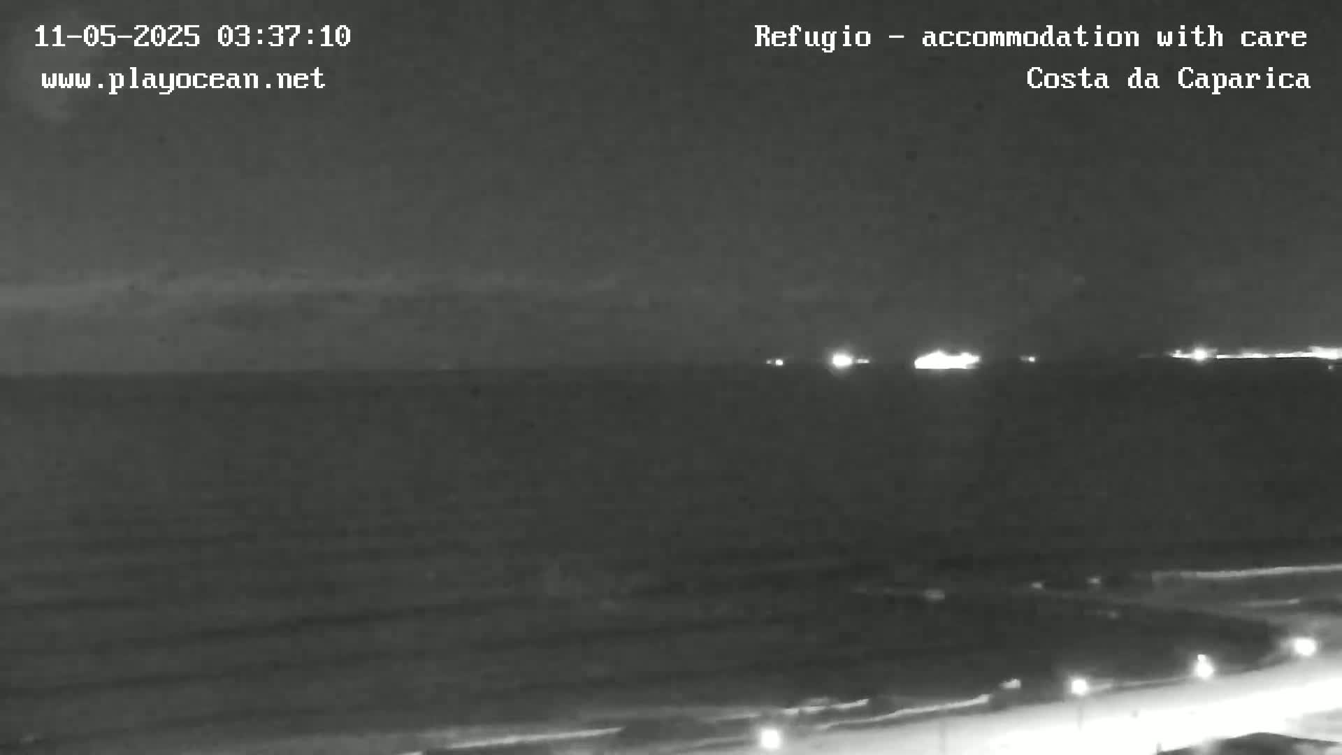 A nighttime, low-light image shows a dark ocean with faint lights on the horizon and a dark shoreline with sparsely spaced lights.