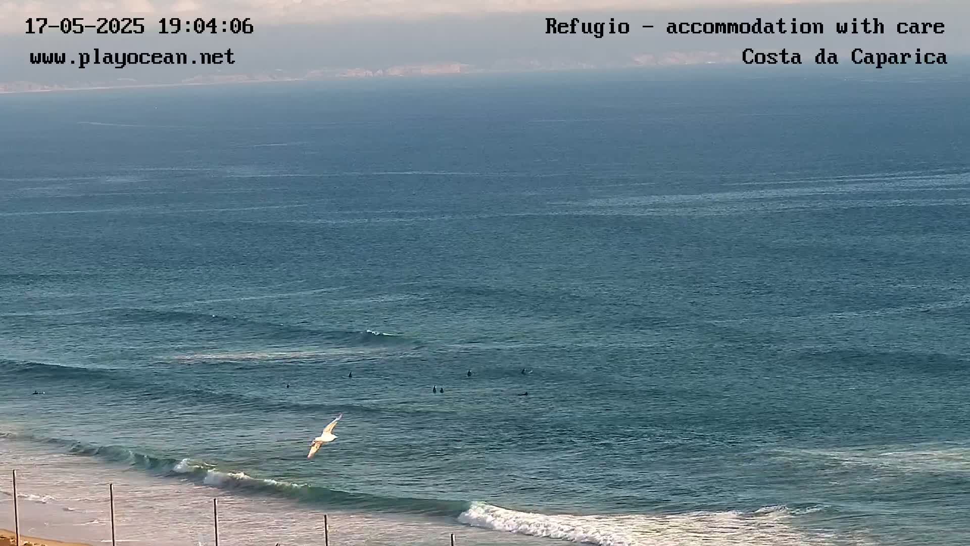 A bird flies over a mostly calm ocean with small waves breaking on a sandy beach under a partly cloudy sky.