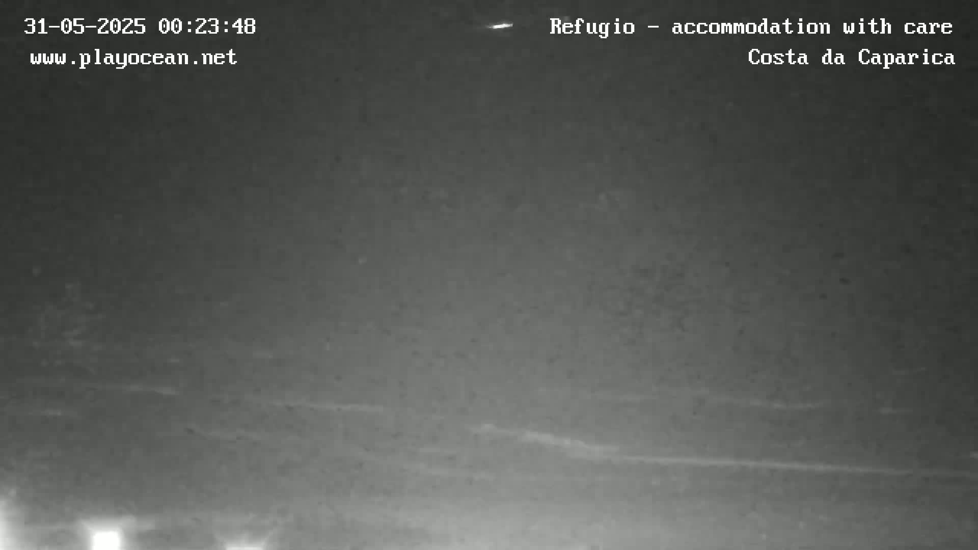 A nighttime, low-light image shows a dark, mostly featureless landscape under a clear sky.