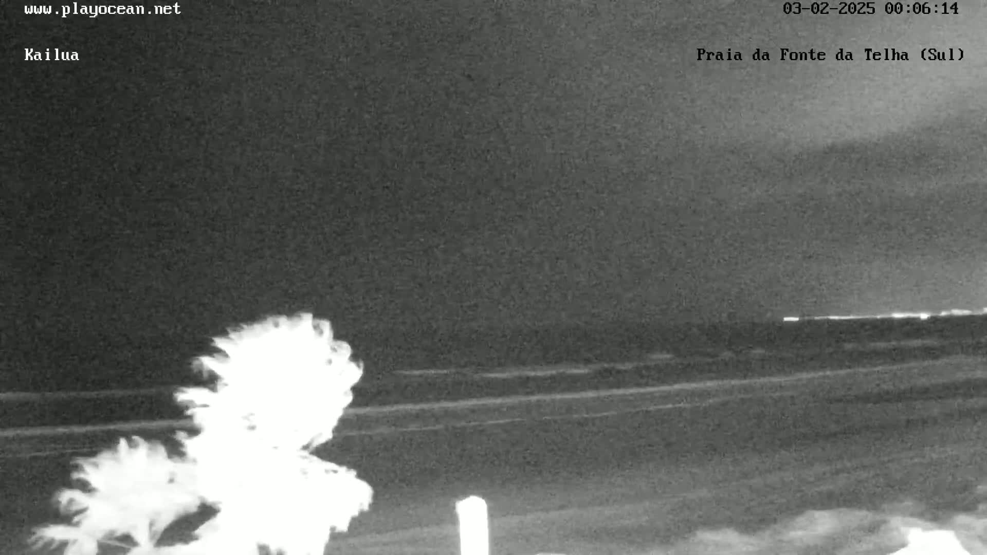 A nighttime, low-light image shows a beach with windblown vegetation in the foreground and a dark ocean in the background under a mostly clear sky.