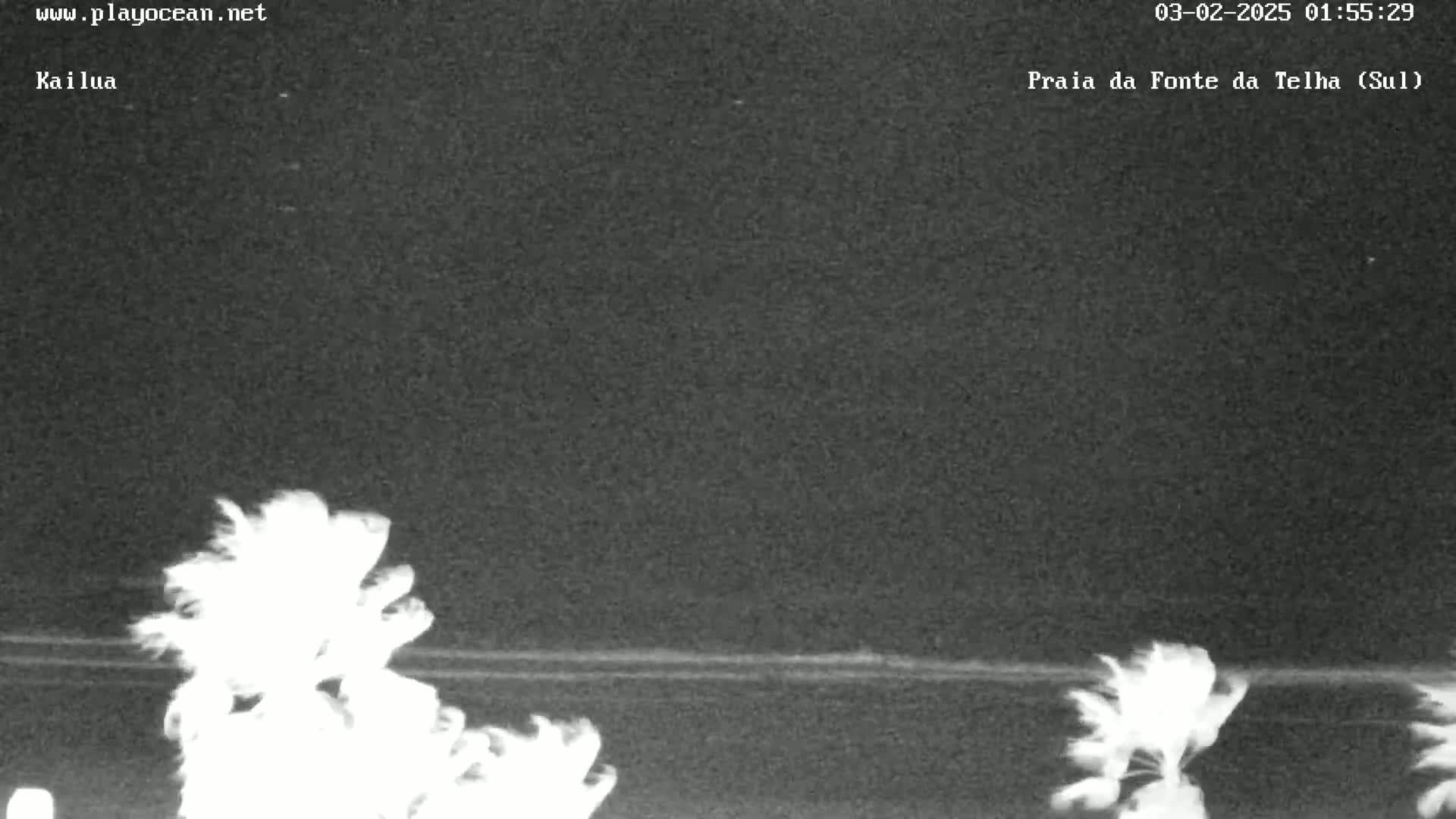 A nighttime, low-light view shows a dark ocean horizon line with palm trees silhouetted in the foreground, slightly blurred by wind.