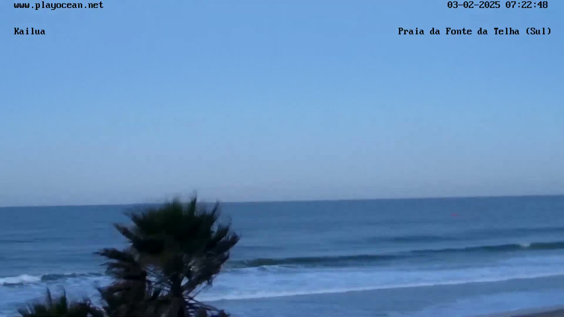 Under a clear blue sky, ocean waves roll onto a sandy beach, partially obscured by palm trees in the foreground.