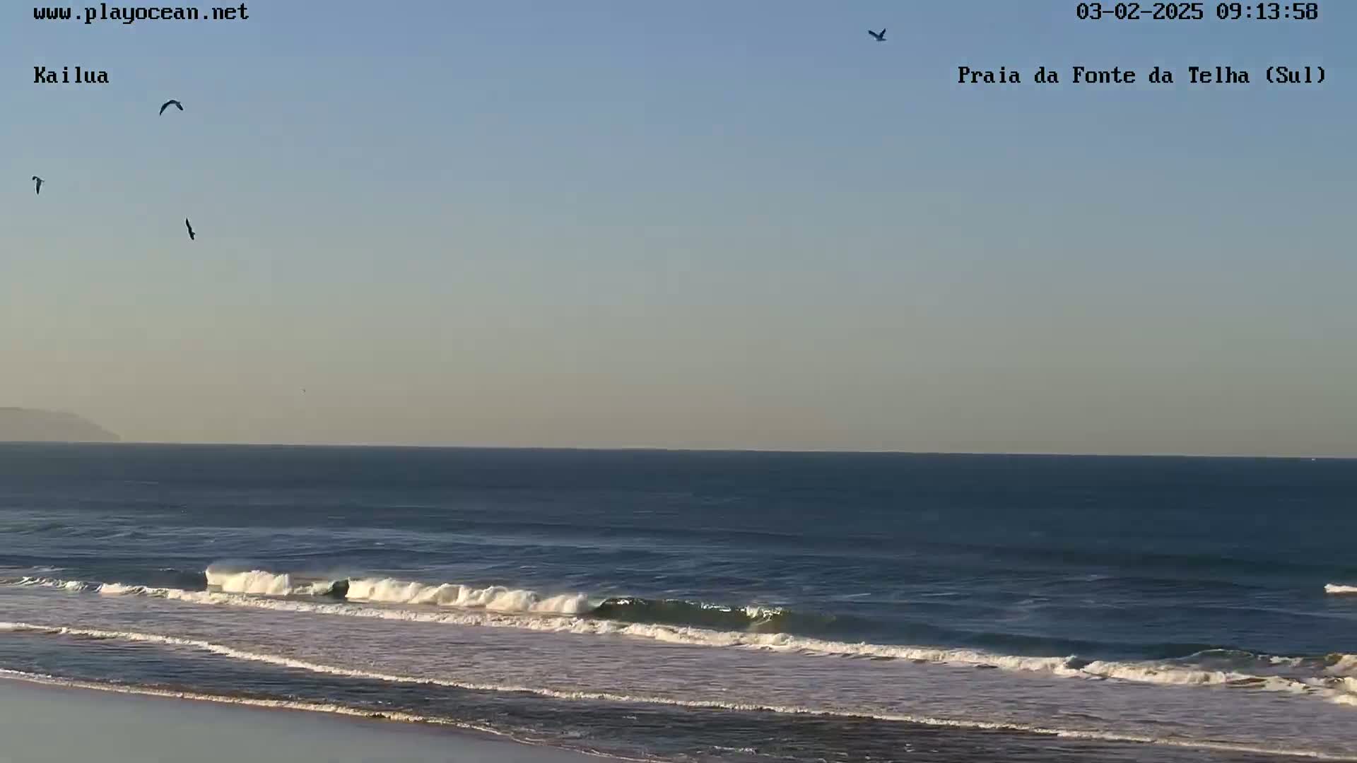 A mostly clear sky overlooks a dark blue ocean with several small waves breaking on a sandy beach, and several birds are flying.