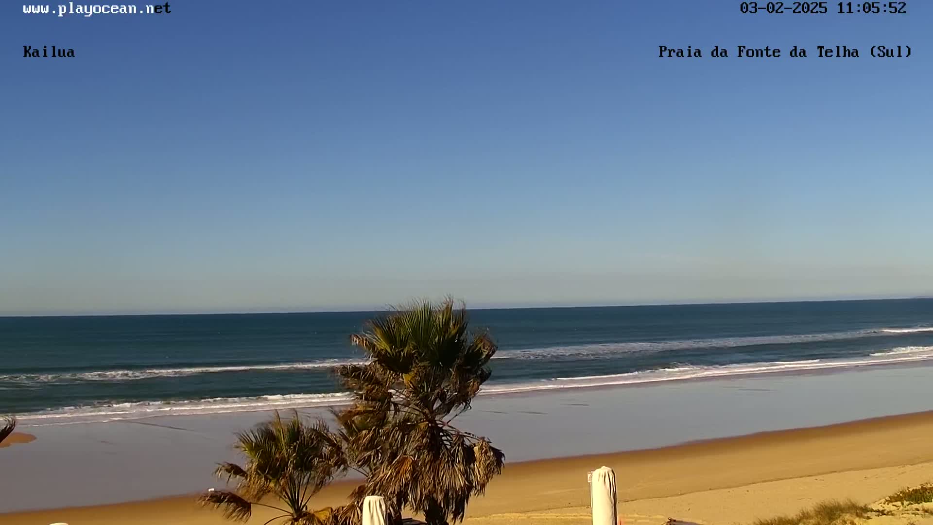 A sandy beach with gently rolling waves under a clear blue sky is partially obscured by palm trees in the foreground.