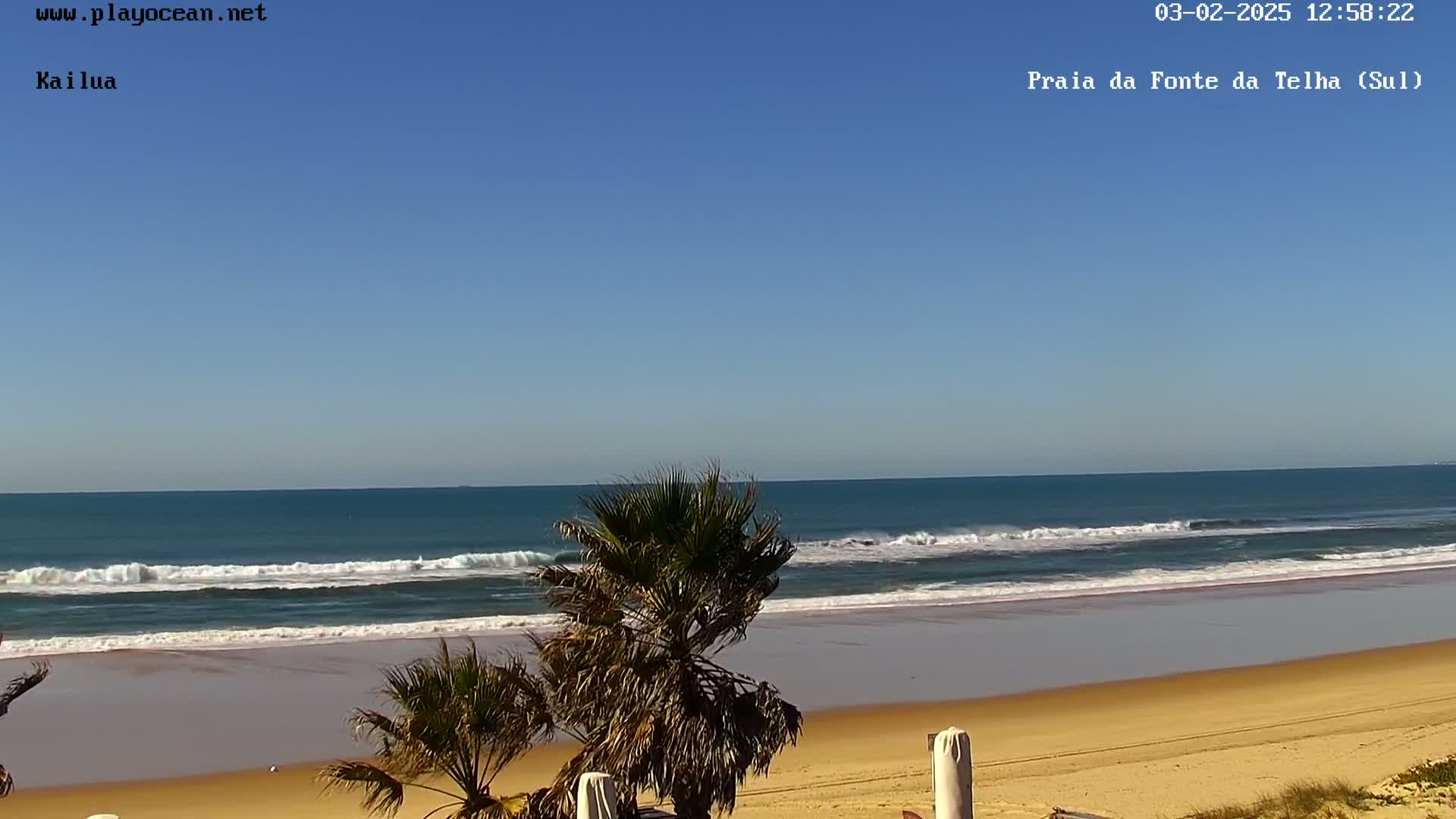 A sandy beach with gentle waves under a clear blue sky is partially obscured by palm trees in the foreground.