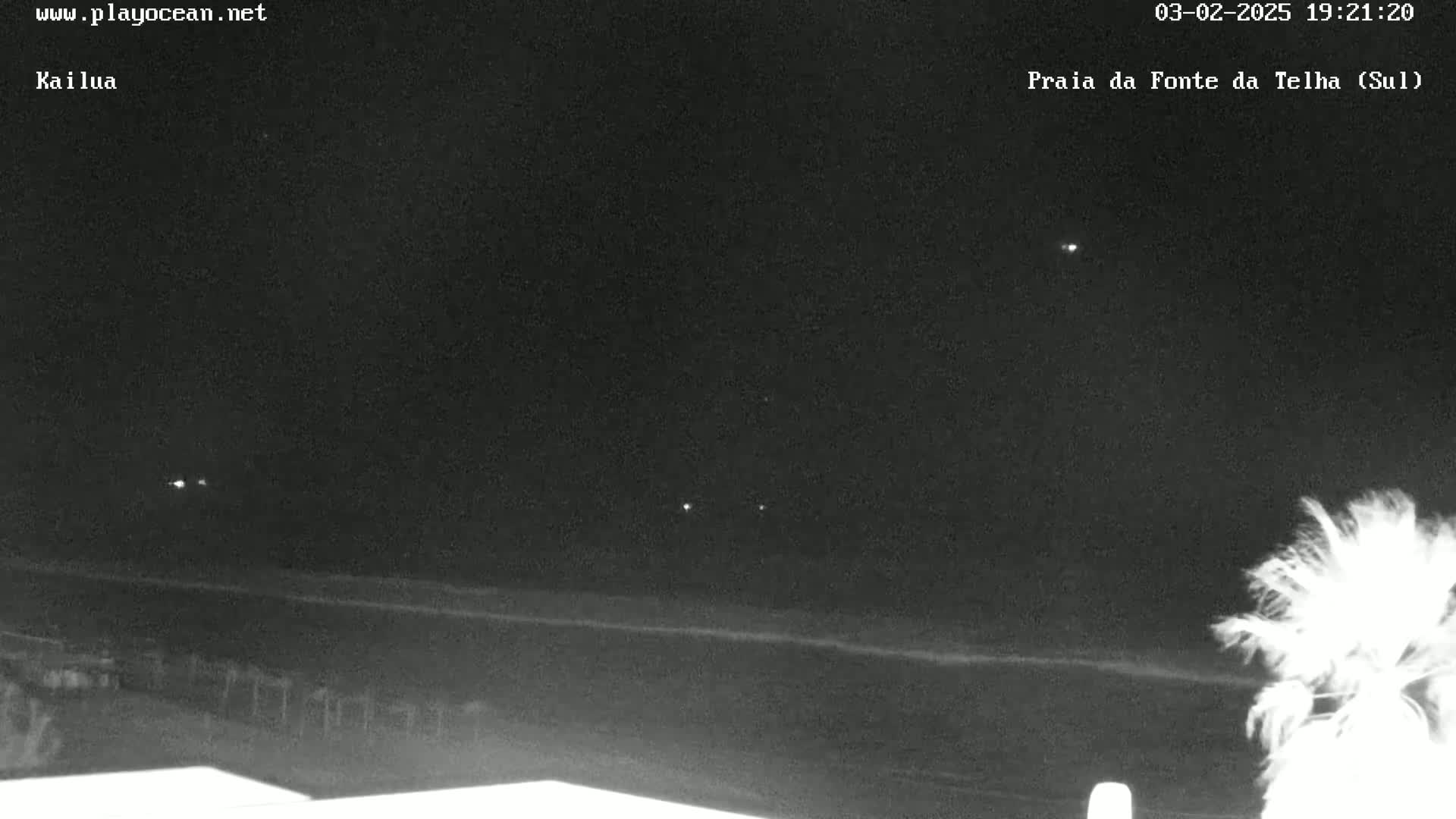 A nighttime, low-light view of a dark ocean beach with a palm tree partially visible in the lower right corner.